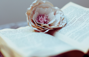 Poetry Book With A Rose