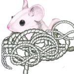 Mouse with Rope