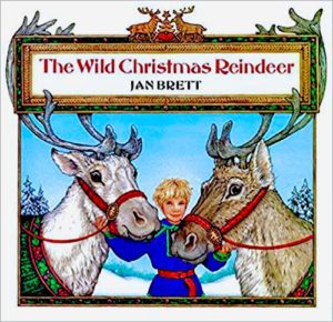The Wild Christmas Rheindeer book