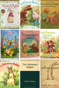 The Velveteen Rabbit Bookcovers